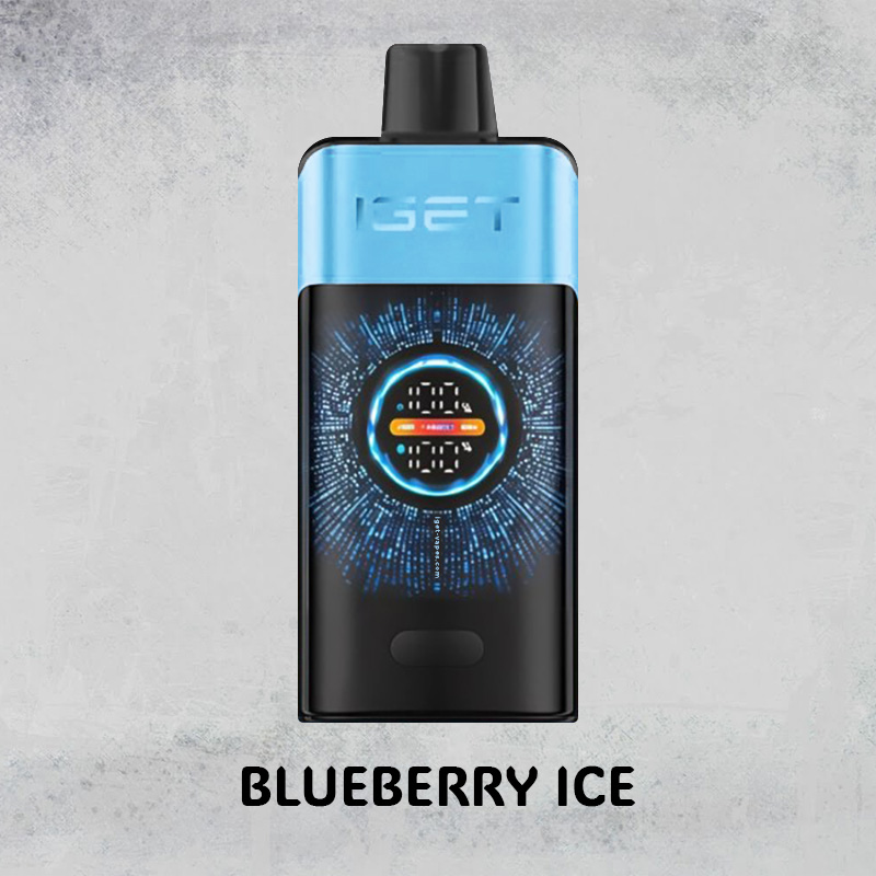 BLUEBERRY ICE – IGET ONE – 12000 PUFFS