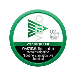 VELO POUCH WINTERGREEN 2MG